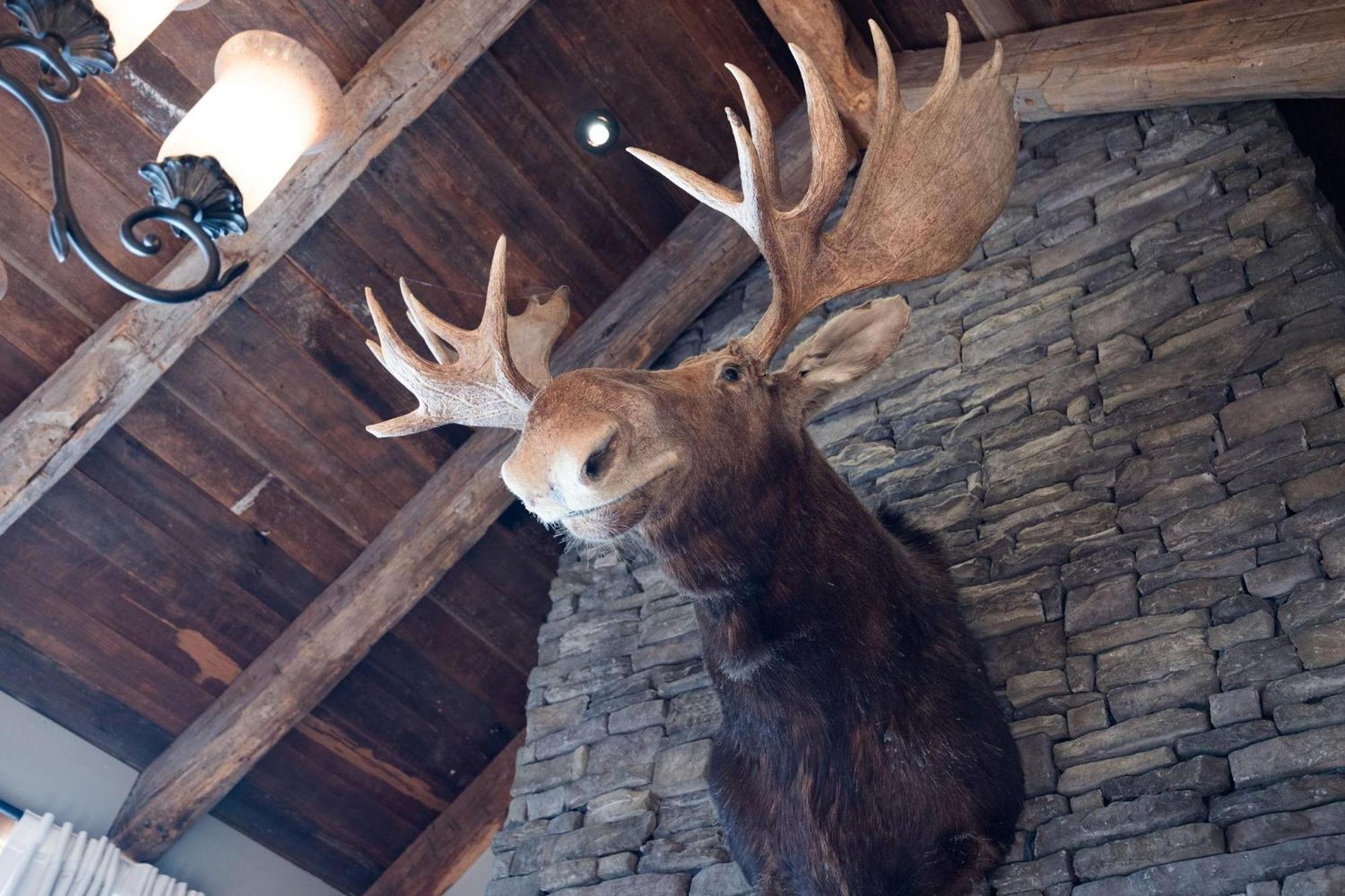 Nashville - 4032 Coles Ferry Pike - Luxe Lebanon Buitenkant foto